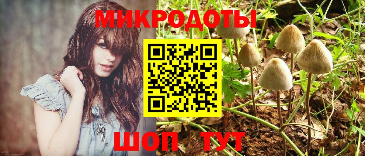 Псилоцибиновые грибы Cubensis  Псилоцибиновые грибы Psilocybine cubensis  Вход с VPN  Альметьевск 