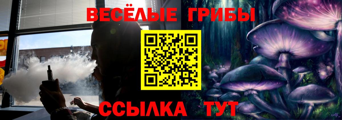 Псилоцибиновые грибы GOLDEN TEACHER Альметьевск